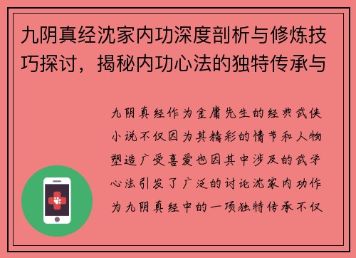 九阴真经沈家内功深度剖析与修炼技巧探讨，揭秘内功心法的独特传承与发展